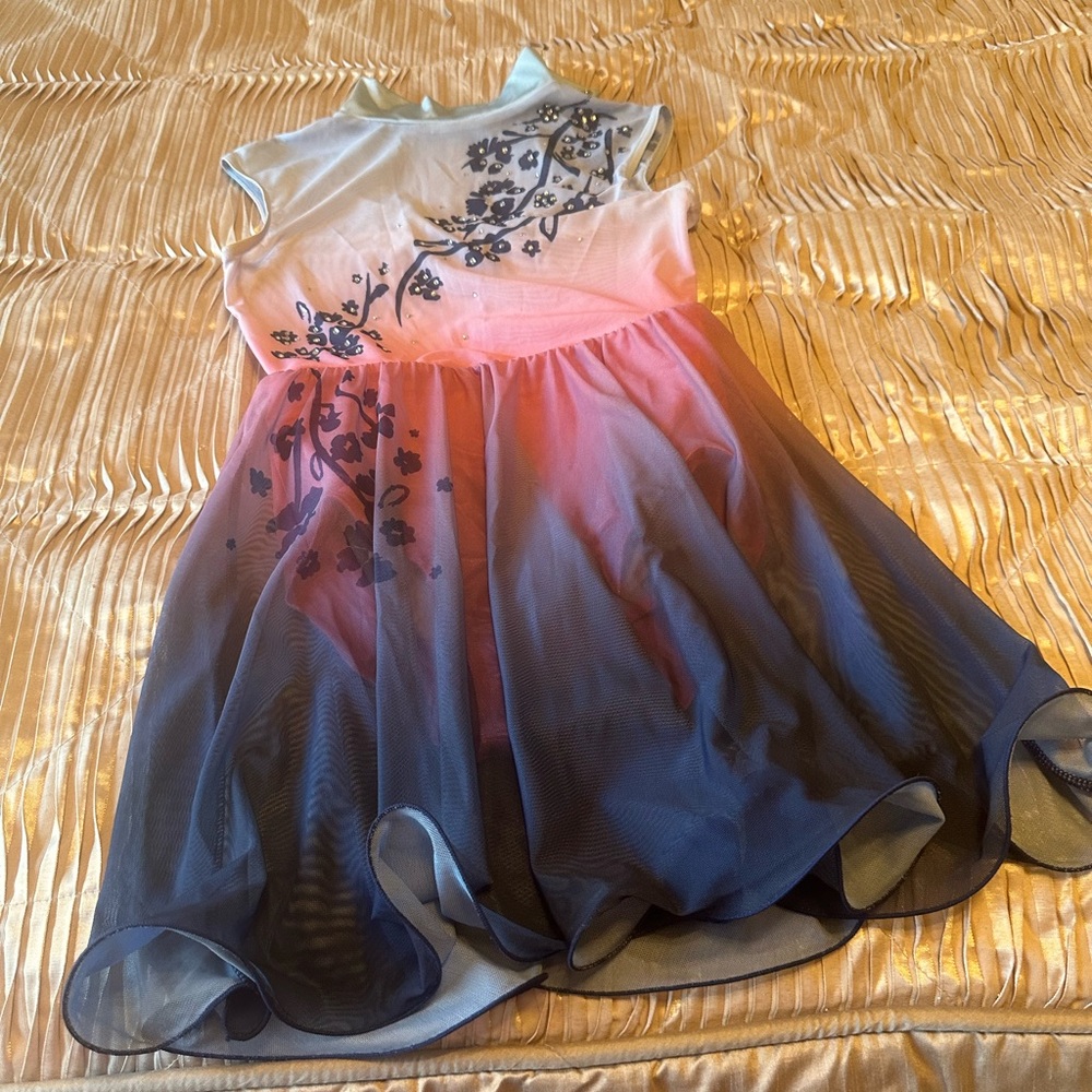 Girls Ombre Pink to Navy Floral Tulle Dance costume
